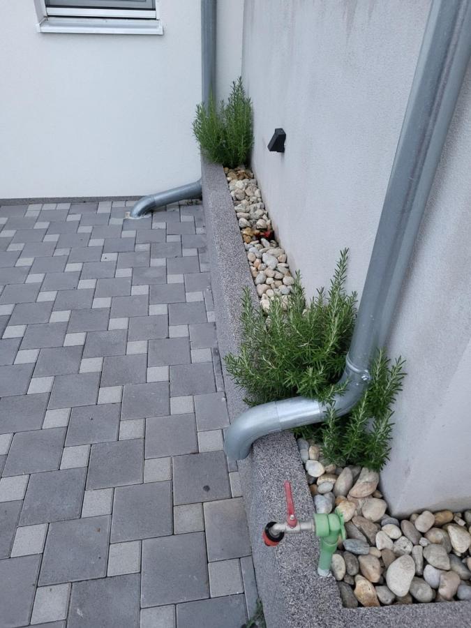 Apartman Dino 特罗吉尔 外观 照片